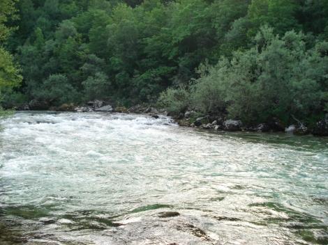 piknik-studentov-visoke-sole-za-zdravstveno-nego-jesenice-2008-26.JPG