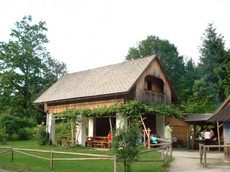 piknik-studentov-visoke-sole-za-zdravstveno-nego-jesenice-2008-32.JPG
