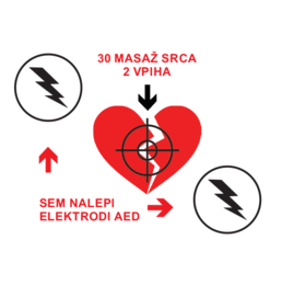 logo aed majcka