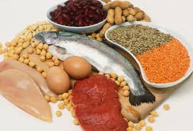 proteini